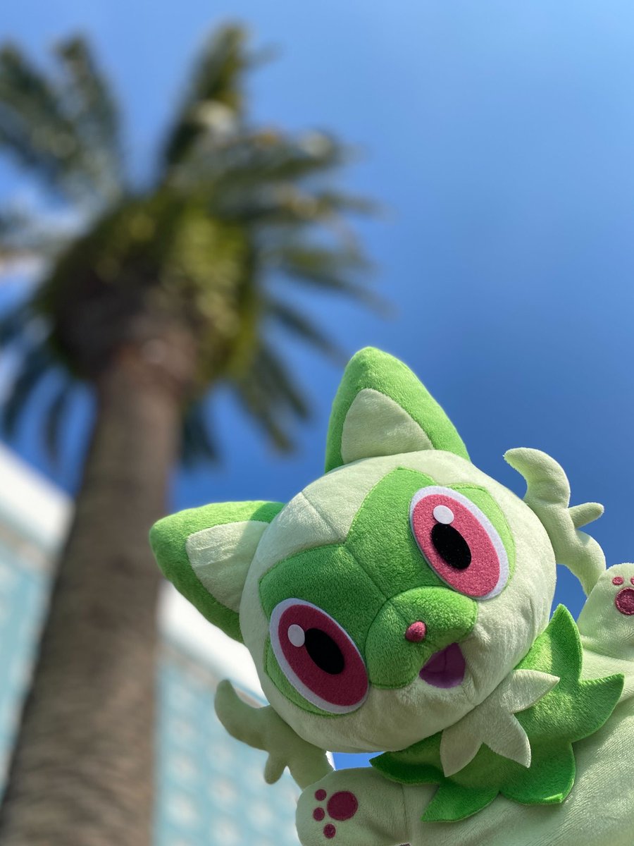 ニャオハ出張チュウ🌴