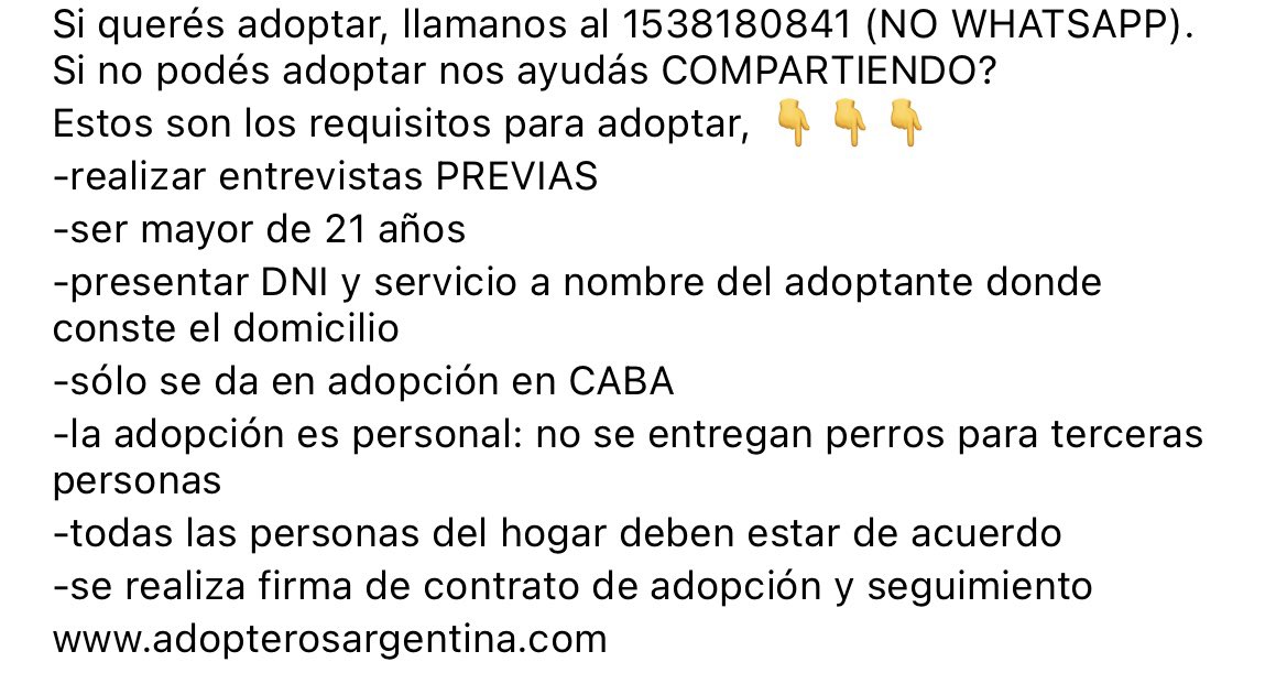 Adopteros Argentina tweet media