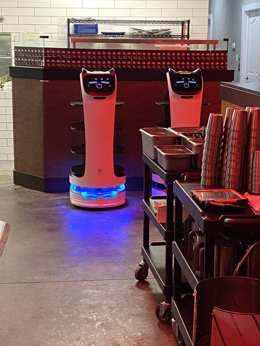 VeryMuchABear's tweet photo. THIS KBBQ PLACE HAS A ROBOT DELIVERING DISHES AND HIS NAME IS NUGGETS!!!!!!! https://t.co/gmKUWjlvys