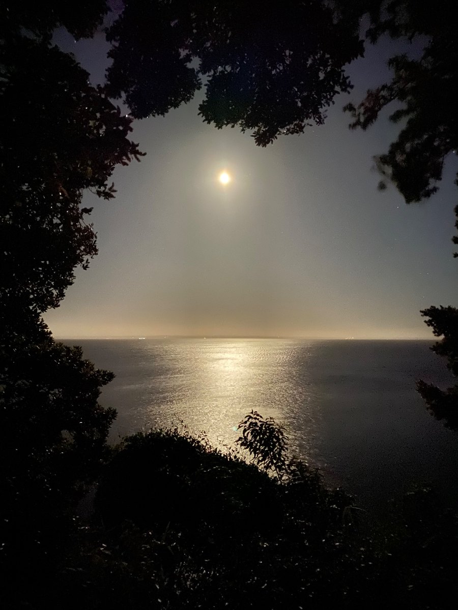 PoliRoaV's tweet photo. La Luna en mi ventana otra vez #luna #puertovaras 💕 https://t.co/iv7VLGGEaS