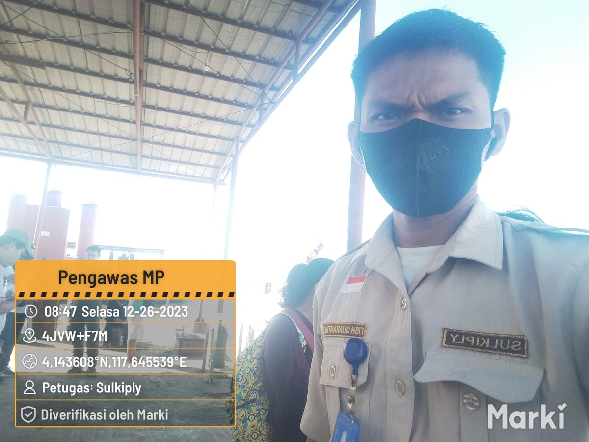 BKIPMNunukan's tweet photo. 26/12/2023 #SahabatBahari 
Melakukan Pengawasan dan Tindakan Karantina Terhadap Media Pembawa di Exit/Entry point(Keberangkatan) Asal Nunukan via SB. Sadewa banuata Eksekutif  02
📍PLBL Liem Hie Djung Nunukan
•NIHIL
#KKPThrive 
#EkonomiBiru
#SaktiWahyuTrenggono
@bkipm_kkp @BKIPM https://t.co/HUES6PDulH