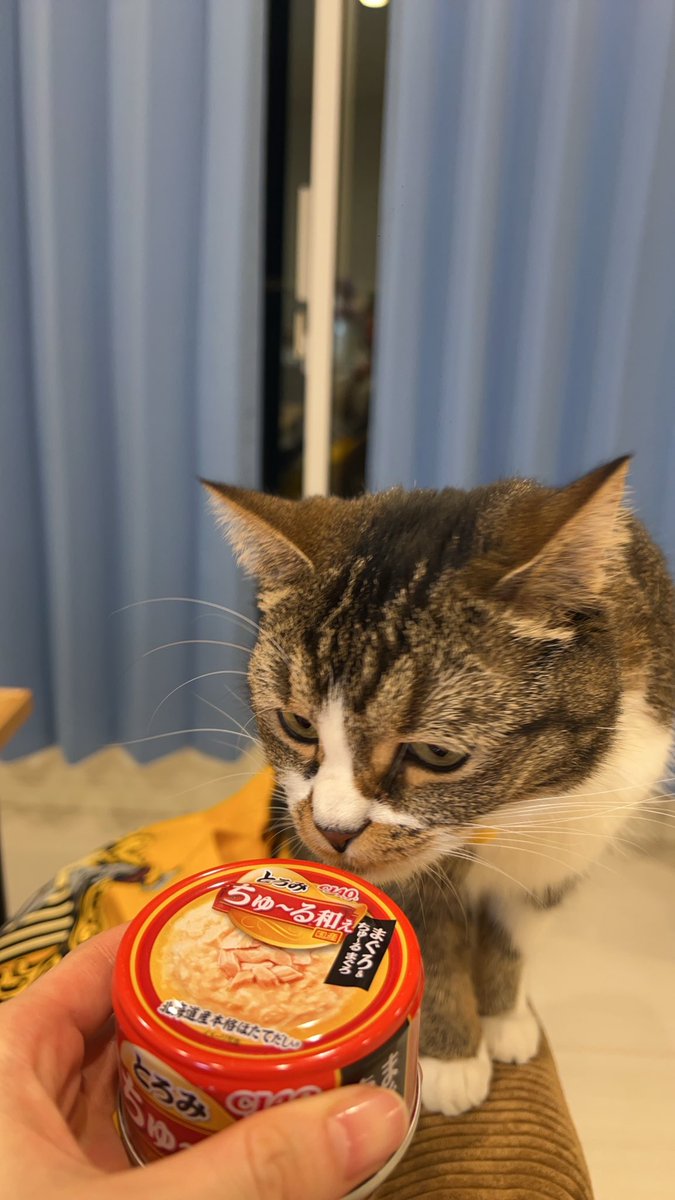 昨晩のごま
クリスマスディナー https://t.co/fmUufYOwkr