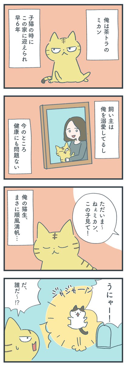 ネコたちのおしっこ事情がわかる漫画を描きました。 おしっこチェック、とっても大事! 続きはWebから全部読めます🐈 #PR #花王 