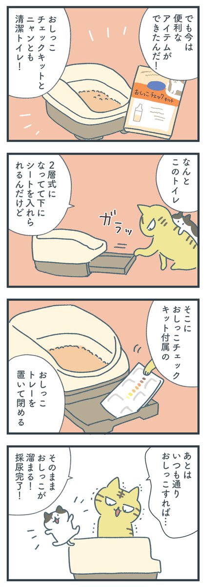 ネコたちのおしっこ事情がわかる漫画を描きました。 おしっこチェック、とっても大事! 続きはWebから全部読めます🐈 #PR #花王 