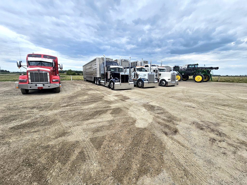 Merry Christmas to everyone! Thanks to our customers and the blessings of the last year!! #tripleglivestock #kdubclub