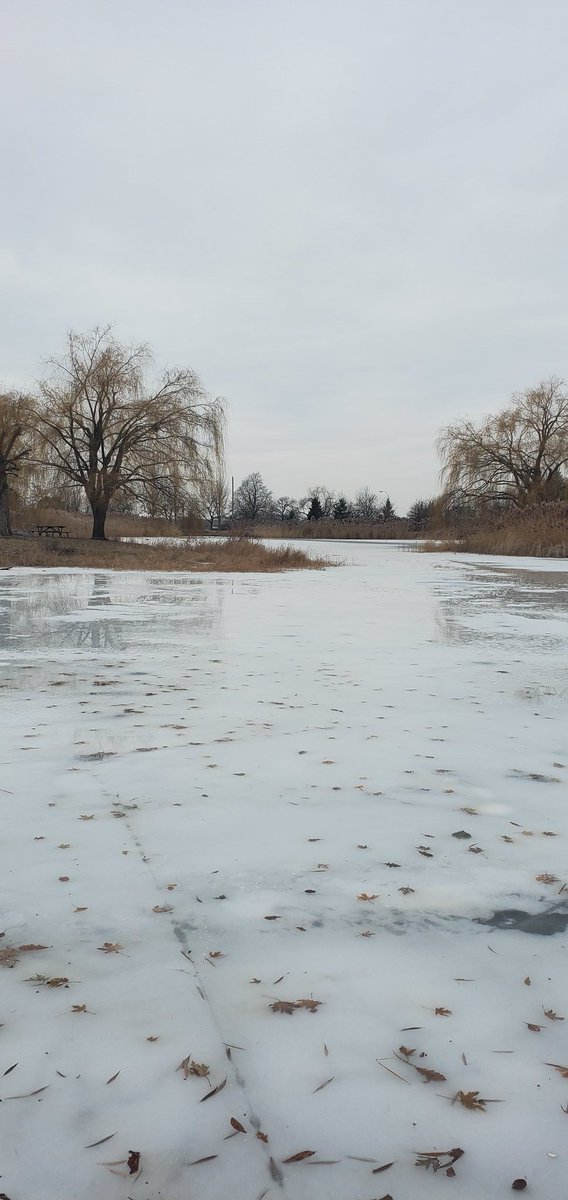 Le parc Jarry se déguise en hiver #parcjarry #MTLmoments