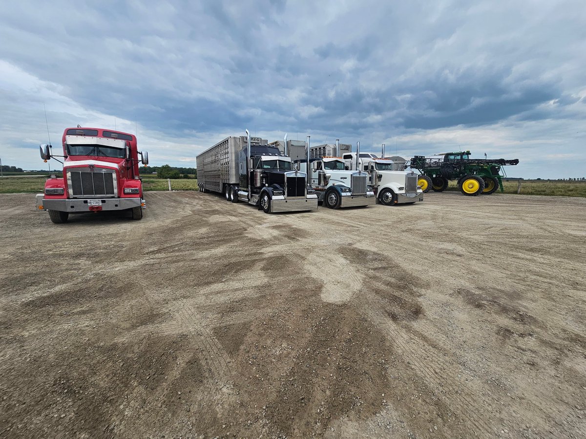 Merry Christmas and a Happy New Year. To our customers and the blessings of 2023!! #tripleglivestockltd #kdubclub