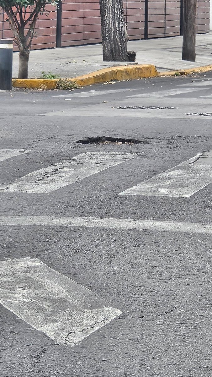 monik_fa's tweet photo. @AccionesBJ su apoyo para tapar este bache en la Av. Pirineos esquina Antillas en la colonia Portales Sur https://t.co/SAgwZTtbLQ
