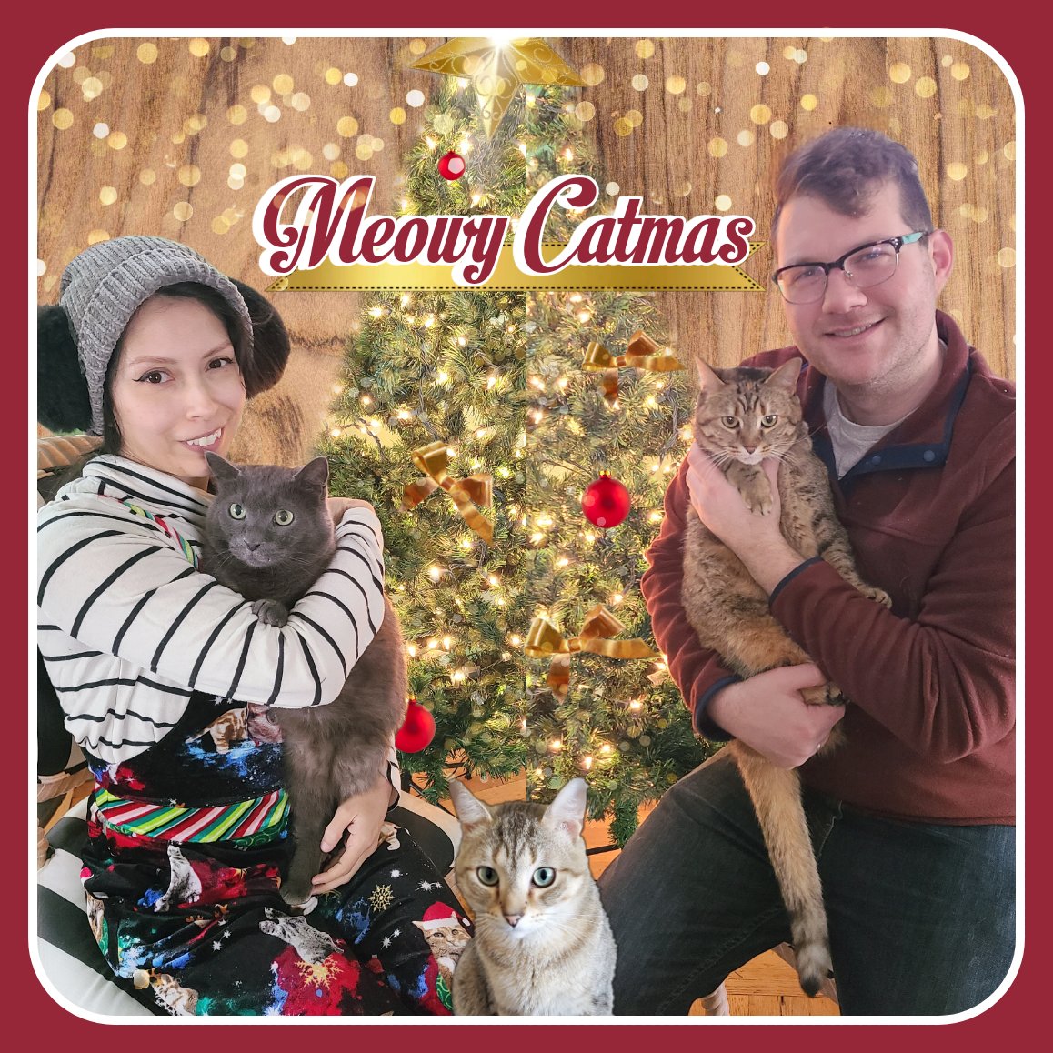 Meowy Catmas everyone! Thank you for your support this Holiday season! I really appreciate the sweet pics of your happy kitties too! It warms my heart! ✨️ Best wishes to you & your cats! ❤️ The Space Kitty Crew ❤️ Vanessa, Dan, 😺😺😺 (left to right) Niko, Benji, & Pepper