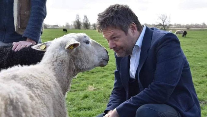 Die Rabenkrähe tweet media