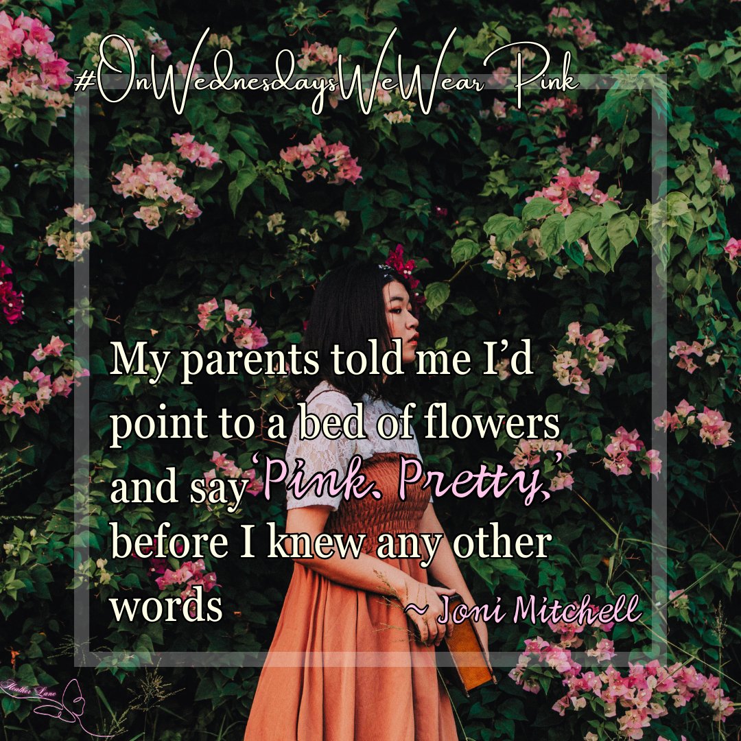 Heather Lane PA tweet media