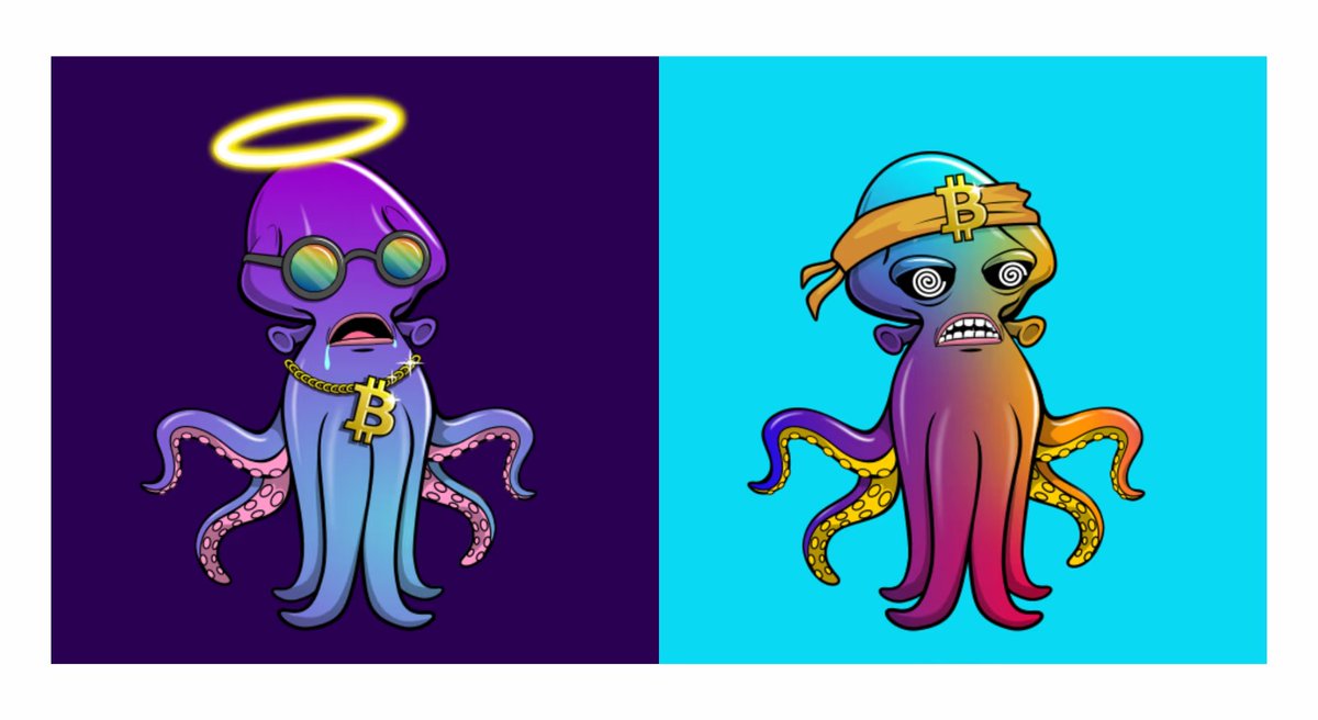 Bored Octopus Club tweet media