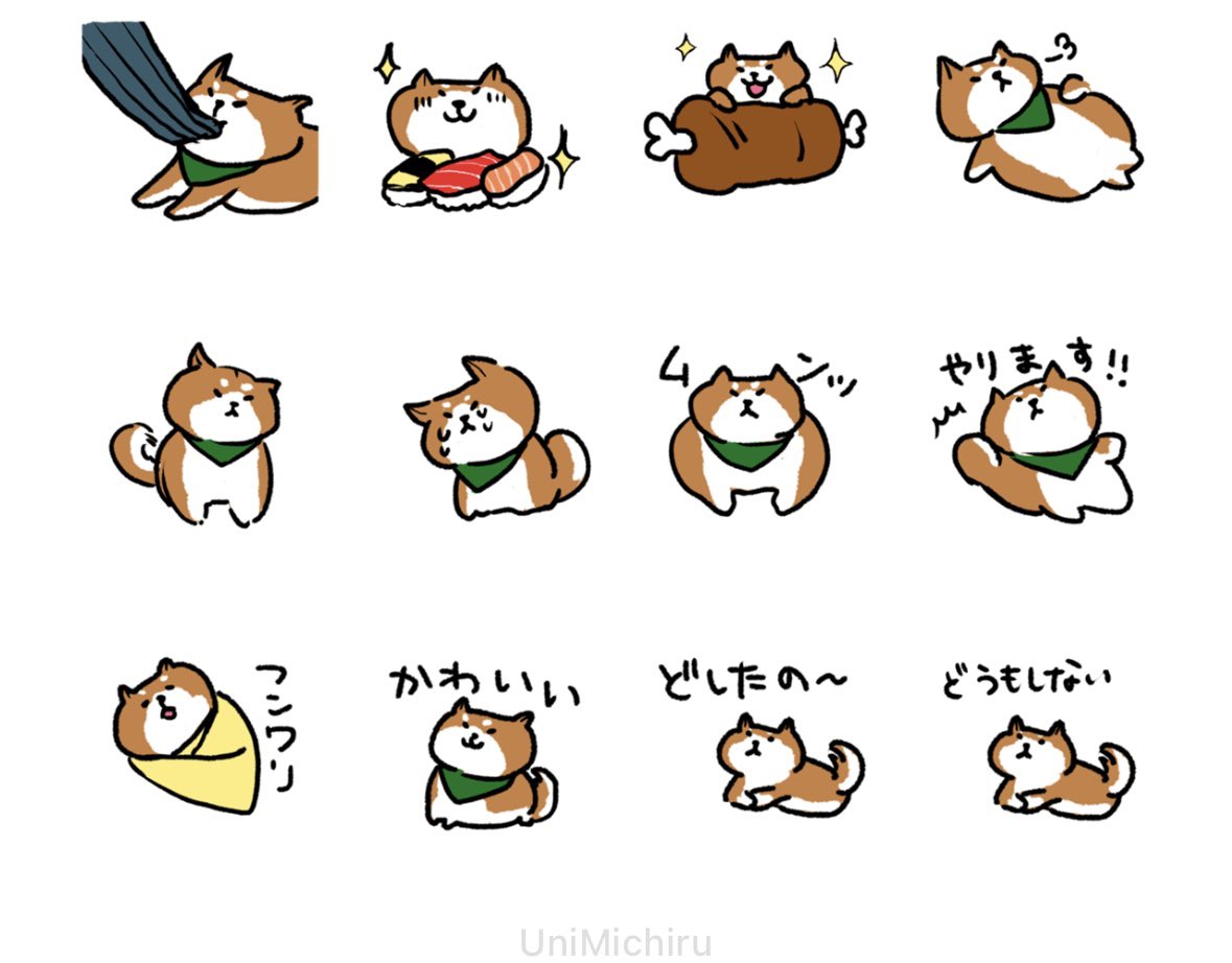てっど🐕 tweet media