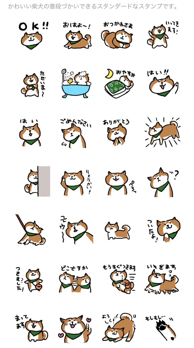 てっど🐕 tweet media