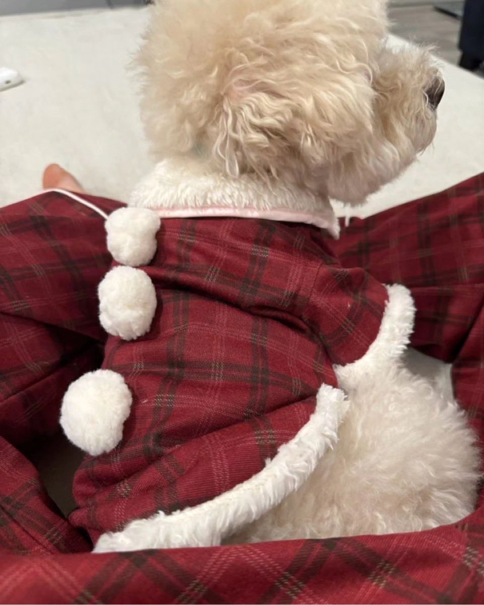 withyoumarktuan's tweet photo. 231226 Mark’s IG Update 

“merry Christmas from 👦🏻🐶🐱!”

#MarkTuan #Mark #段宜恩 #마크 
@marktuan @DNAmngmnt 
#GOT7 #갓세븐 @GOT7 https://t.co/KwMhxQ1775