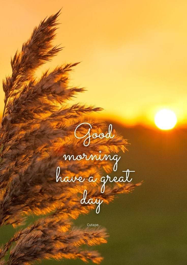 Good morning have a great day

#goodmorning 
#GoodMorningEveryone 
#goodmorningworld 
#goodmorningquotes
#GoodMorningPakistan 
#morningvibes 
#morningroutine