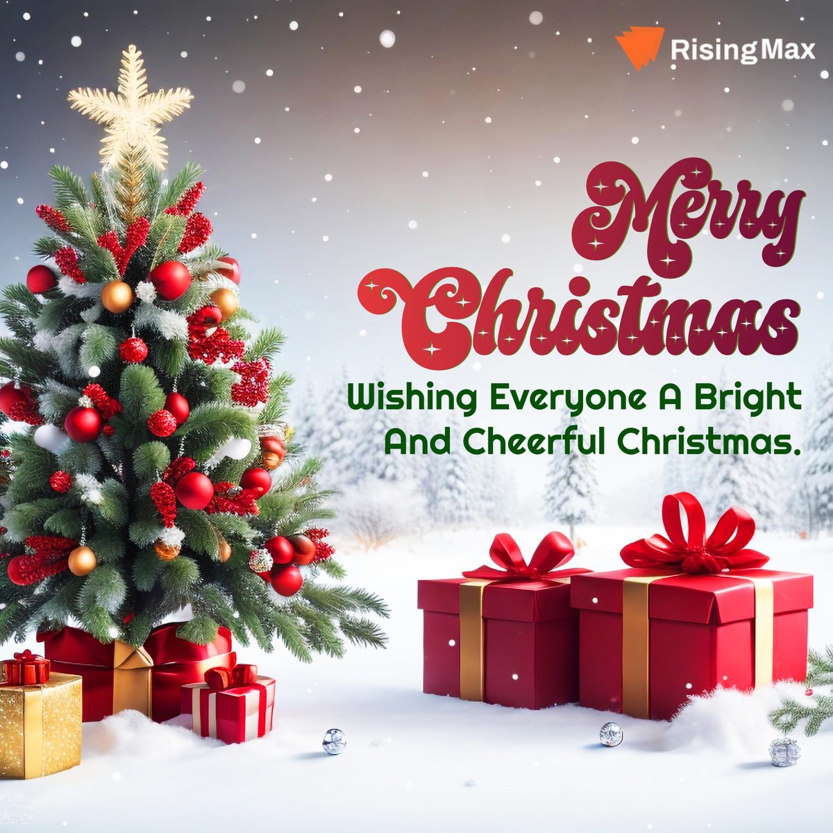 RisingMax Inc tweet media