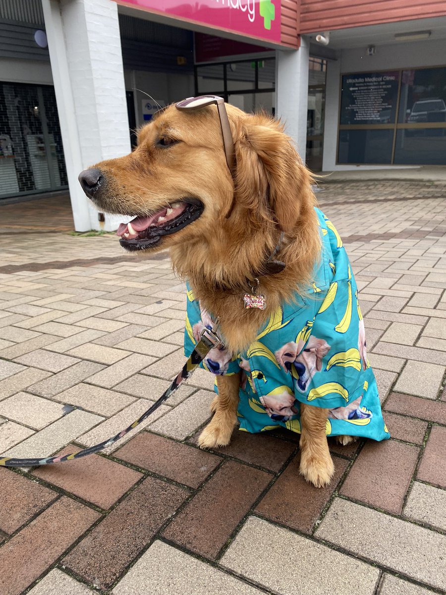 Brent Hodgson tweet media