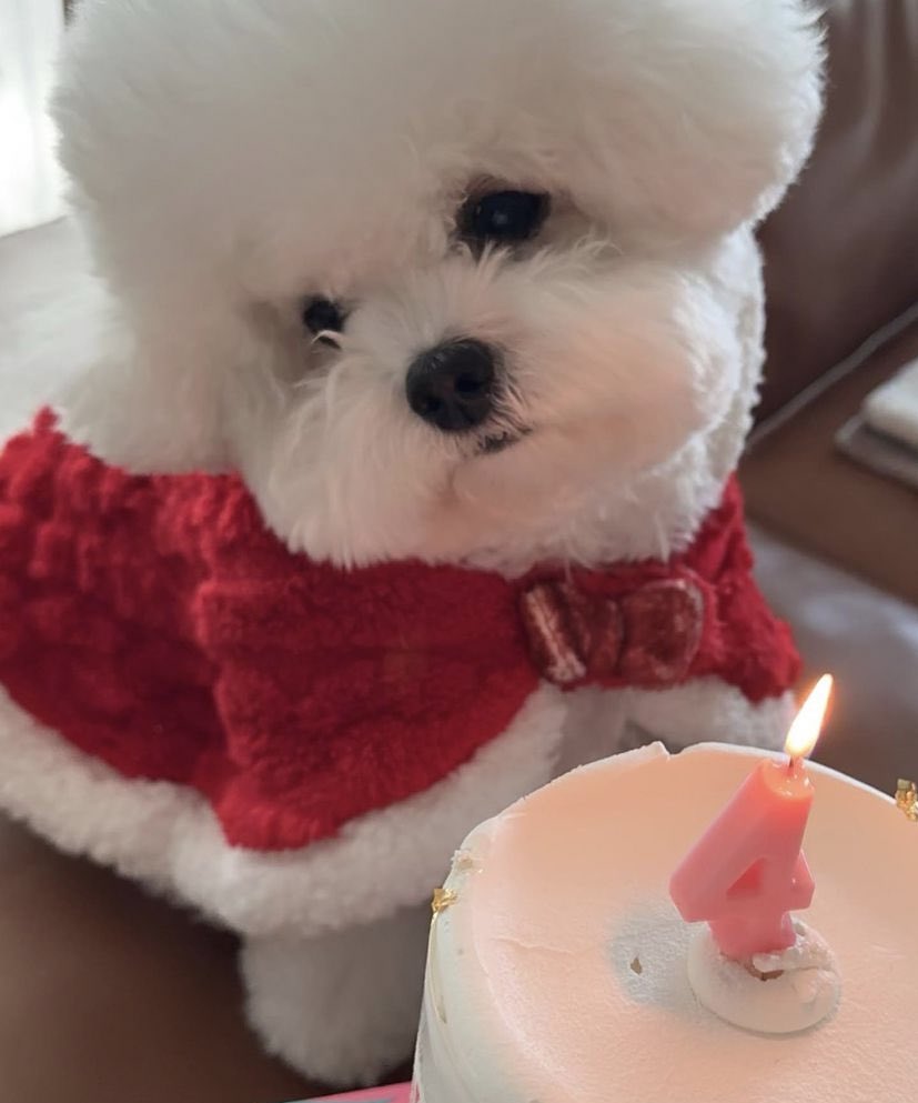 couple2_kim's tweet photo. Happy Birthday Song Ruby!!ππππ
#SongHyeKyo #SongRuby https://t.co/DuKPcG8tBR