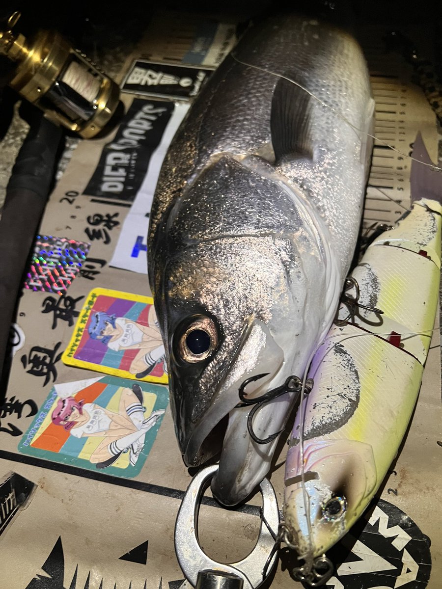 某ひき肉さんが仮眠休憩に入ったあとの
ひとり延長ランガン1.5往復目🫶
#lunkerpool #湾奥最前線 #tulalajp #corona #klashghost