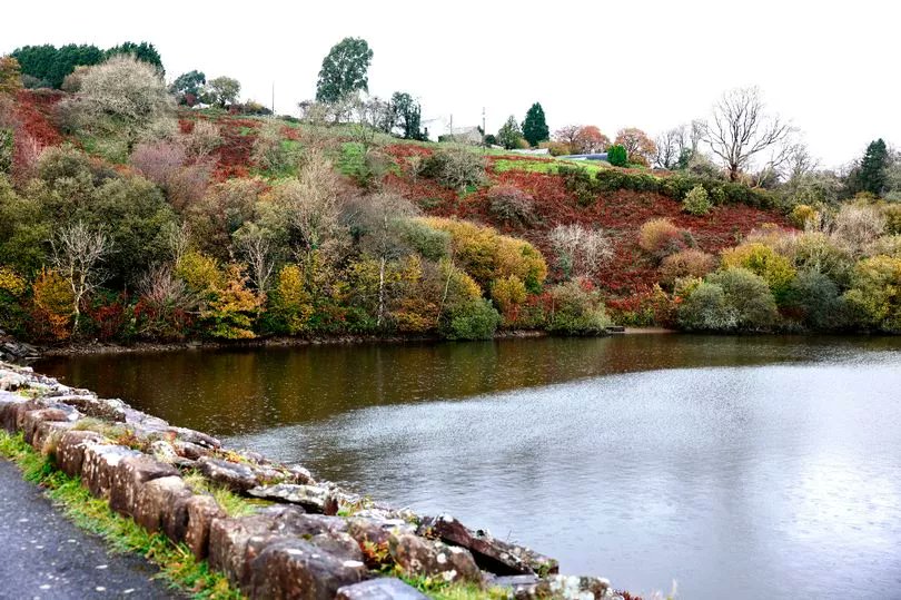 The stunning Welsh beauty spot with woodland walks, watersports and a cosy café tinyurl.com/mxt69s73