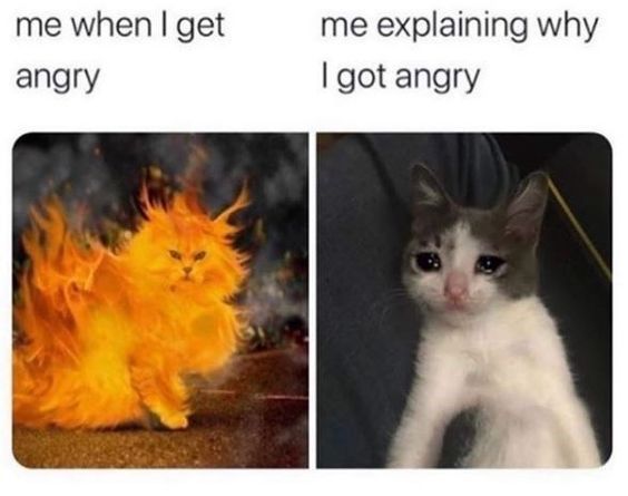 WholesomeMemes tweet media