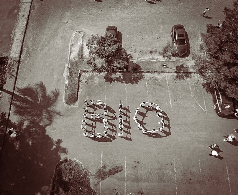 Iam_bigpraize's tweet image. Biology 🧬 #Class22 #Biopantheons
Edited: by yours truly 
Shot: dahunique
@Dahveed01 @_DukeOfAces #wys 
#ClassInvicta @FutaBro @tfsnaija @ClassInvicta #fyp #biology