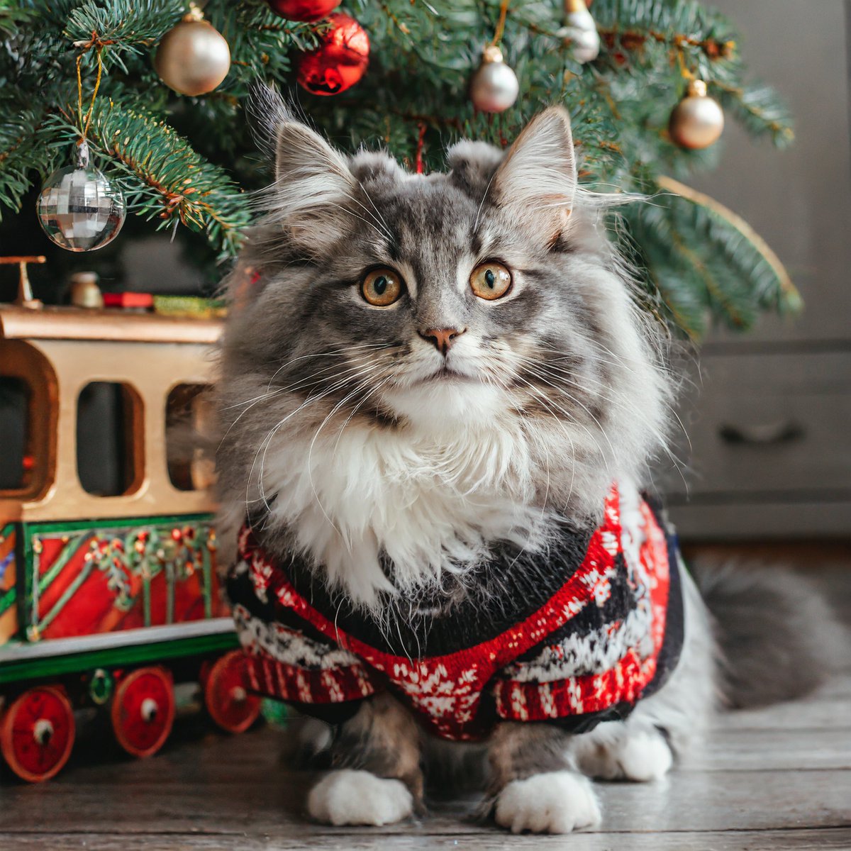 Karsten Socher (@karstensocher) on Twitter photo 