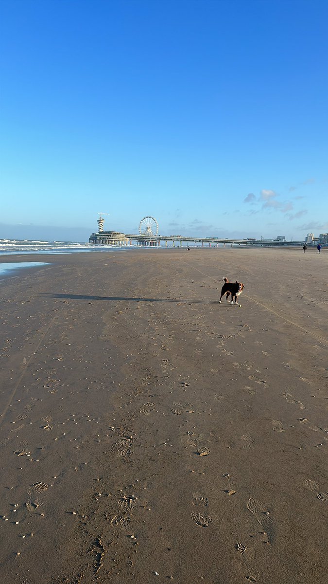 Marianne Zwagerman 💟☮️ tweet media