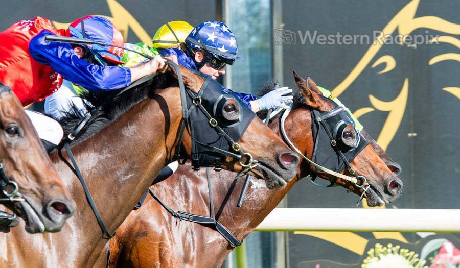 WesternRacepix's tweet photo. MAN CRUSH - 2023 Swan Draught Boxing Day Dash @PinjarraPark #WesternRacepix #BoxingDayRaces
More ๐ธ https://t.co/SigLznY1t7 https://t.co/cvljRPemMM