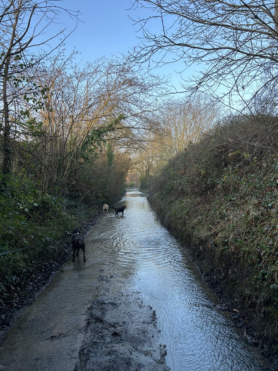 GusPost's tweet photo. East Shalford Lane 📍 @thameswater https://t.co/xyz1NbXHP1