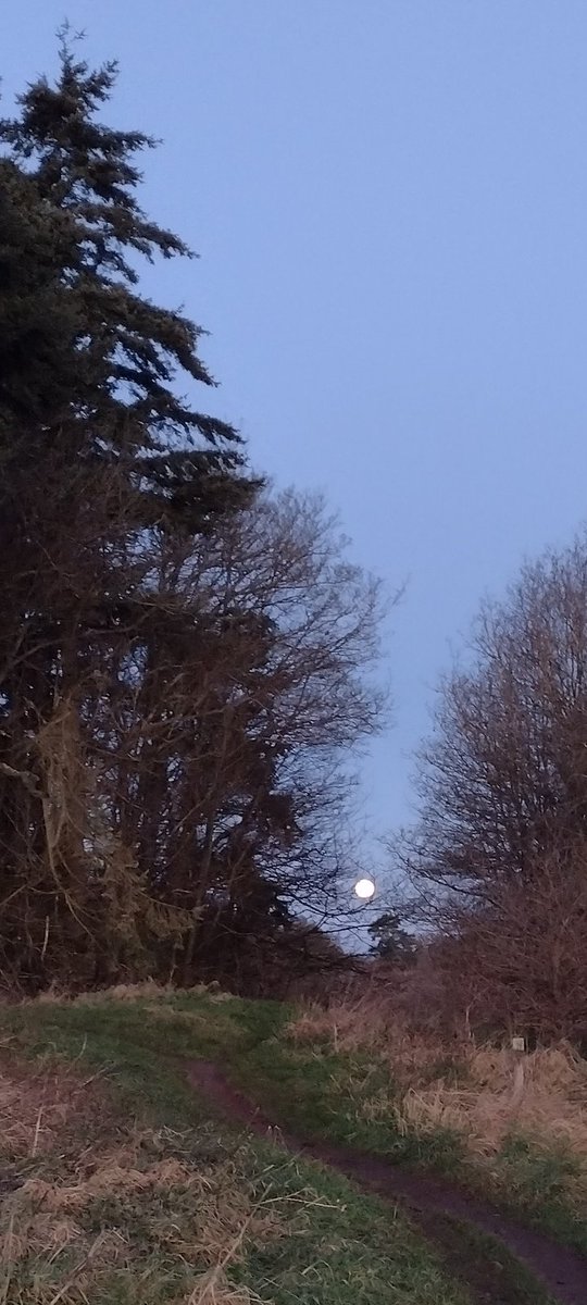 Michael⛅ tweet media