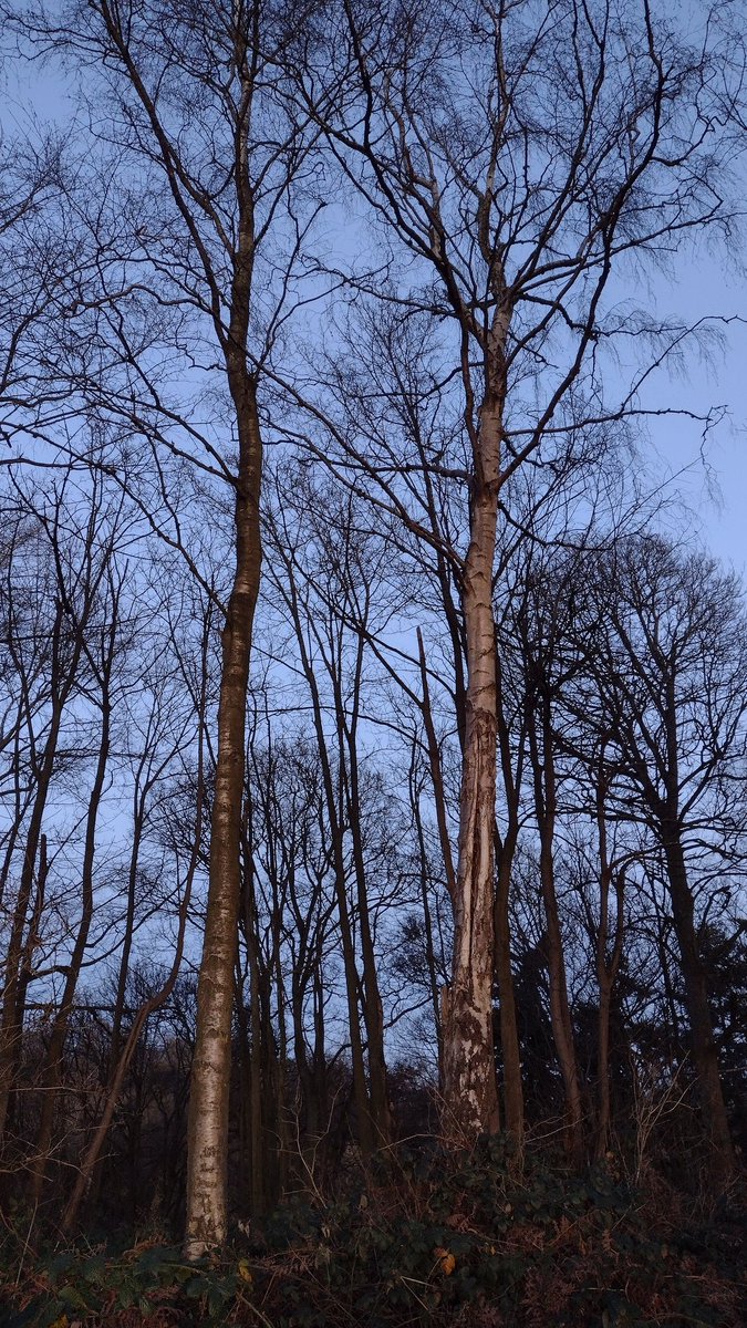 Michael⛅ tweet media