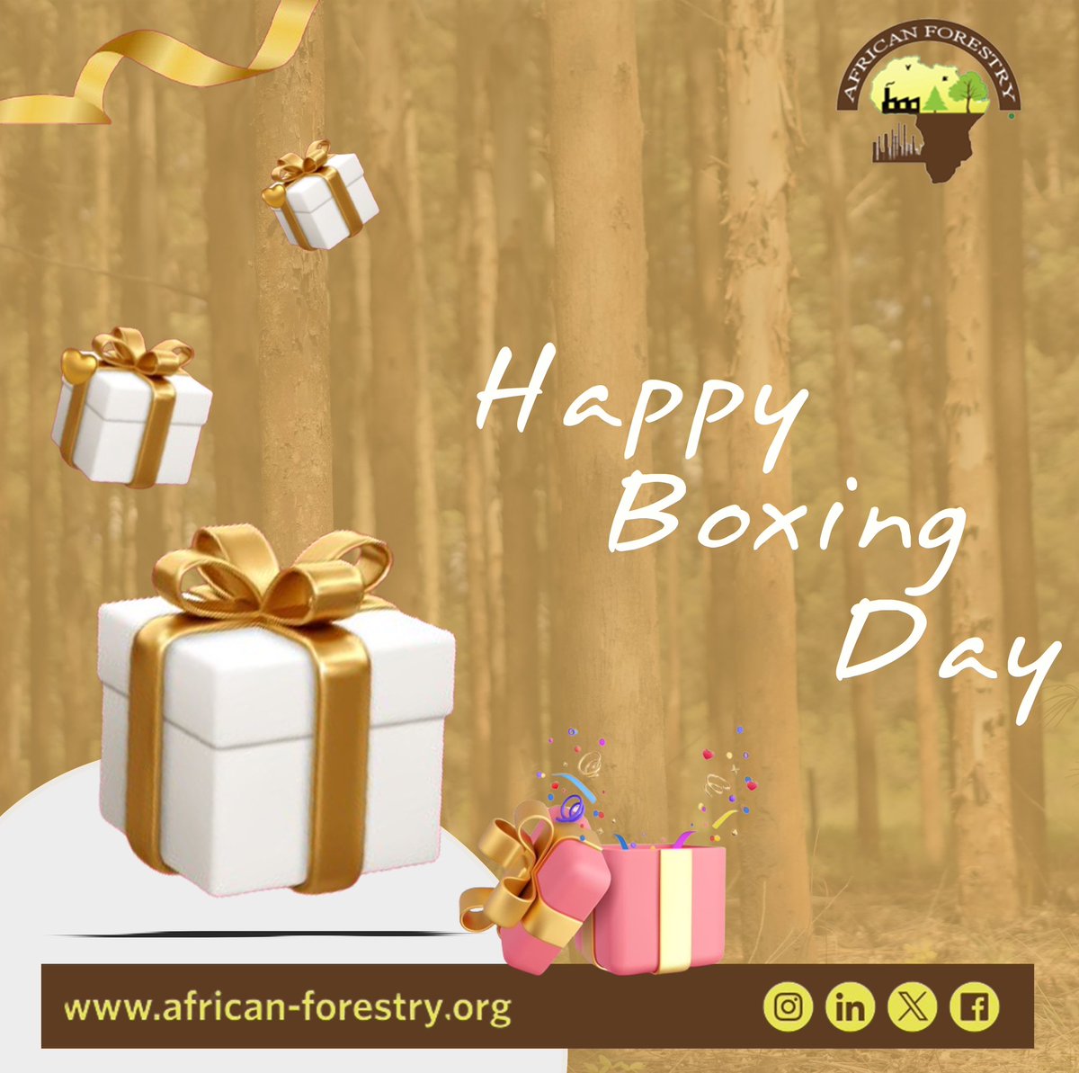 AfForestry's tweet photo. Happy Boxing Day🎁 https://t.co/pLLaoSgjuW