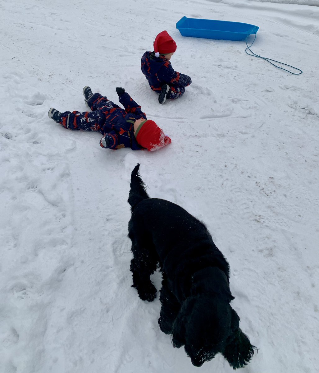 SomeRepe's tweet photo. Leppoisaa loppujoulua, kamut ❤️ Haukahtaisko, että kiirettä on pitänyt eri tehtävissä. #kaksoset #twins https://t.co/8TlPdxBWdR