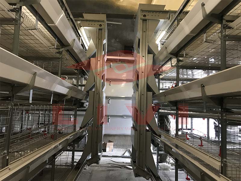 LiviCage's tweet photo. [📷 20 Years Lifetime Broiler Cage] 📷
https://t.co/xxxVmGkINC

#poultryfarming #chickencage #eggproduction #poultryfarmdesign #batterycage #cage #chicken #chickensheddesign https://t.co/klMS63ZgP9