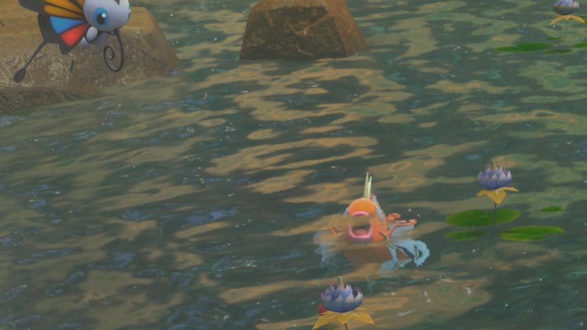 faephotograph's tweet photo. pokémon are such interesting creatures . . . https://t.co/1hEow9C1BU