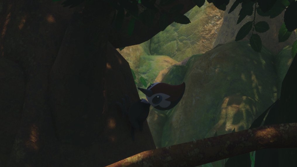 faephotograph's tweet photo. pokémon are such interesting creatures . . . https://t.co/1hEow9C1BU