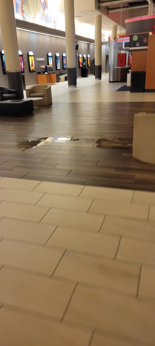 EricaKaiser's tweet photo. @AMCHelps We took our family to the movies Christmas day to see Wonka.  I've never been to a theater so dirty. Walking into our theater (at AMC Liberty Tree Mall 20) the trash cans were over flowing, and people behind us had a mouse crawl on them!  We saw the mouse! HELP! https://t.co/SXkRe6Ljls