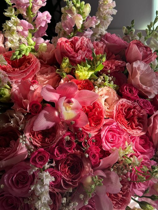 1 pic. Never thought i was a flower girly until now ?♥️ https://t.co/d1xkE0Dlnc