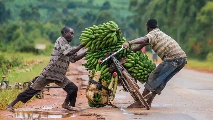fumbokhanJr's tweet photo. Hakuna mpambanaji yoyote anaweza Scroll hii bila Kuonyesha Upendo Kwa Like na Repost...!! https://t.co/NRHptUPWD5