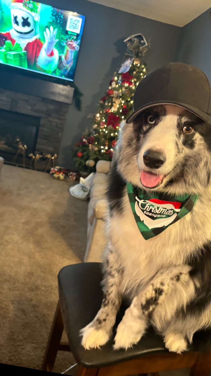 SIMMER94's tweet photo. Merry Christmas Fannzzzz https://t.co/453wgOshba
