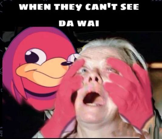 MAYBE THE HOLDERS WILL BE REWARDED MAYBE