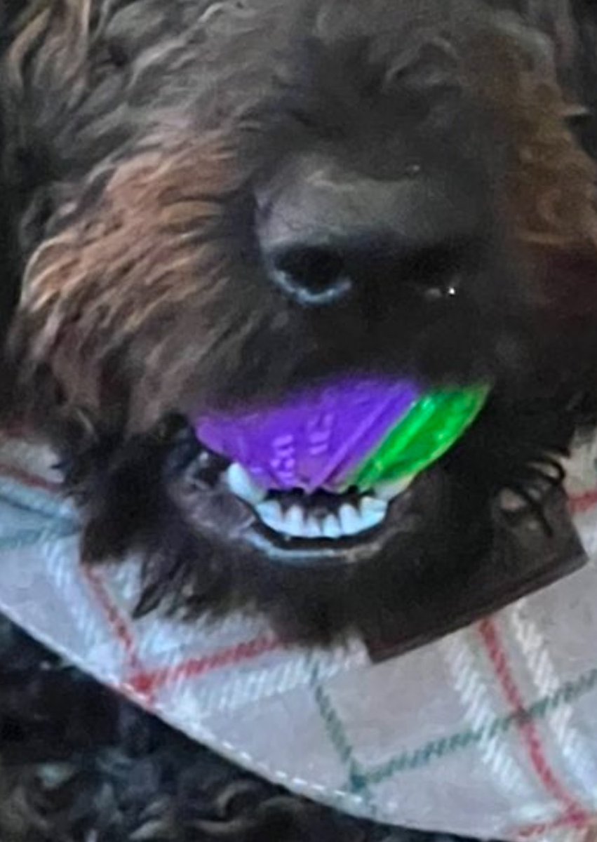 MrSamStreamer tweet picture