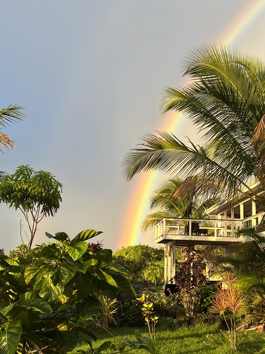 DonnerNicholas's tweet photo. As much as I love a white Christmas, the view of Christmas morning in Hawaii is pretty unbeatable. Love the Big Island! https://t.co/kde5GrBTrs