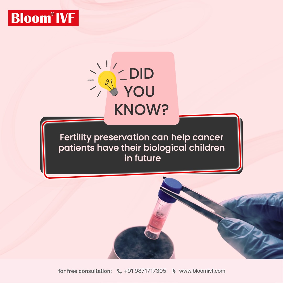 Are you aware of the amazing facts of IVF? Stay tuned to know the unknown facts!

Contact us today for a free consultation
📞+91-9871717305 or 1800 266 9555 (toll-free for India)
📧: contact@bloomivfgroup.com

#bloomivf #didyouknow #unknownfact #fertilityfacts #unknownfacts #ivf