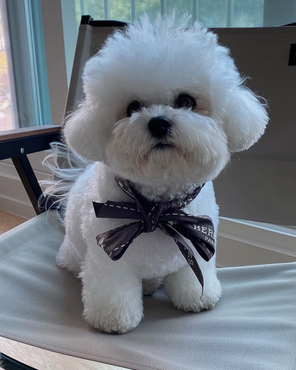 b_of_venus's tweet photo. Not Ruby wearing Fendi and HermΓ¨s. Lmao she's so real for thatπ
#SongHyeKyo
#SongRuby https://t.co/zWkeFqRATd