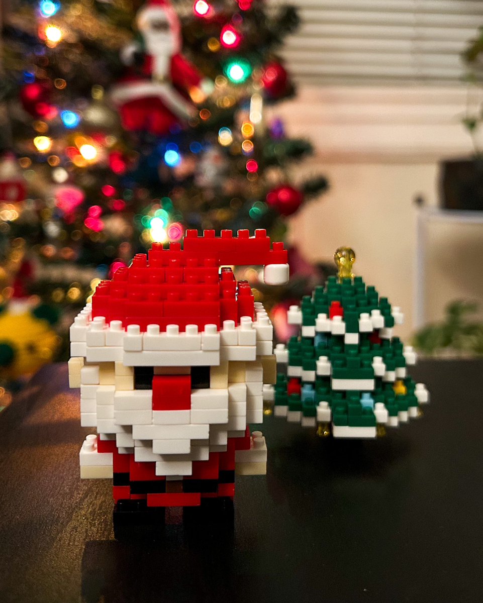 TerrariumKits's tweet photo. Mele Kalikimaka! 🎅🏽🎄🎁  #Christmas2023 https://t.co/rpKE1VozPG