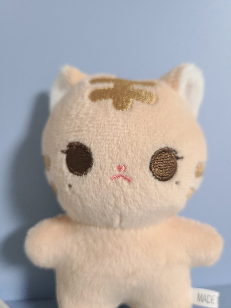 ㅌㅊㅅ 희송⊹.˚ tweet media