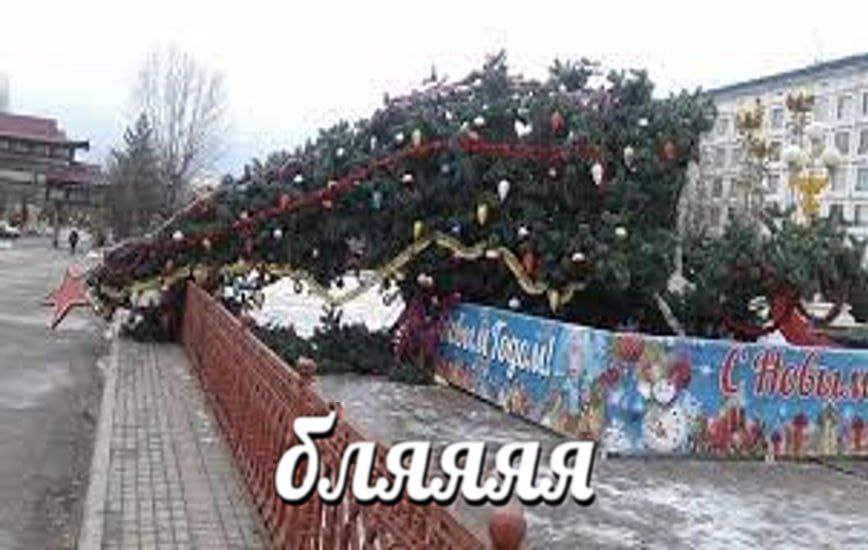 вы торговец дедом! (@peachium) on Twitter photo 2023-12-26 05:59:52